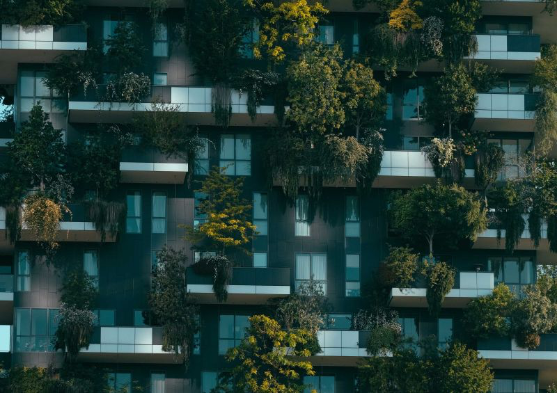 Crise de l’habitat urbain et conflit des modèle : Propriété individuelle et auto-construction